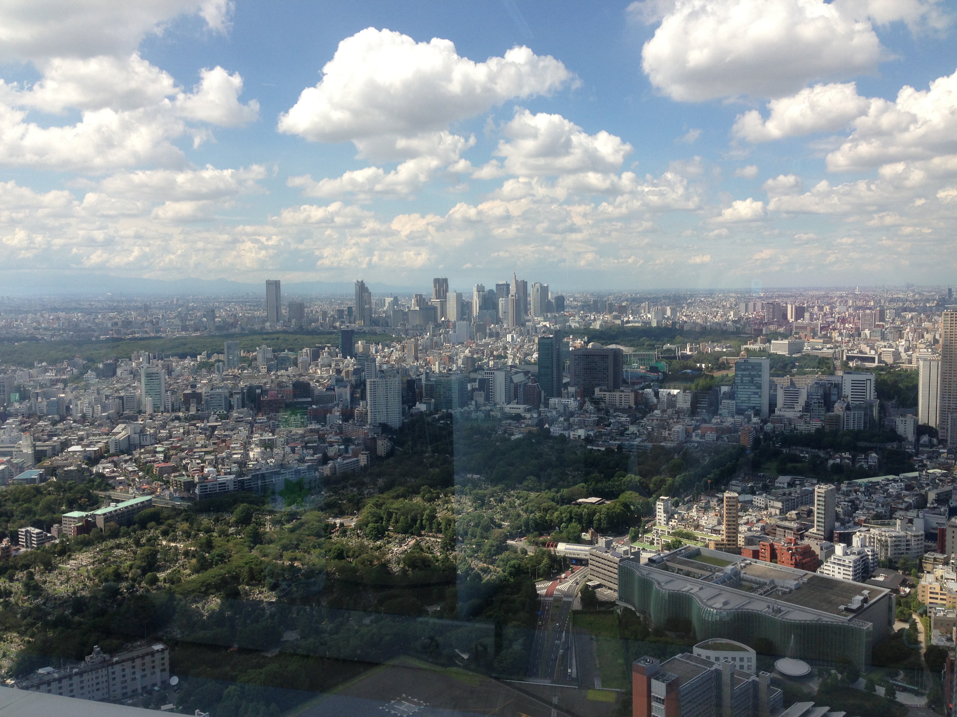 Central Tokyo (photo by Kay Koyama)