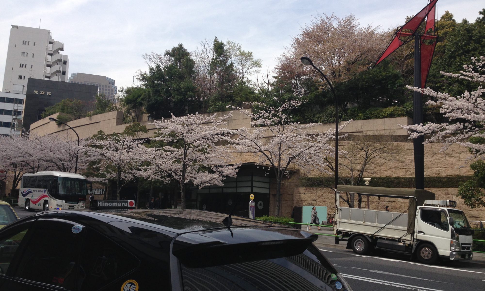 虎ノ門の桜