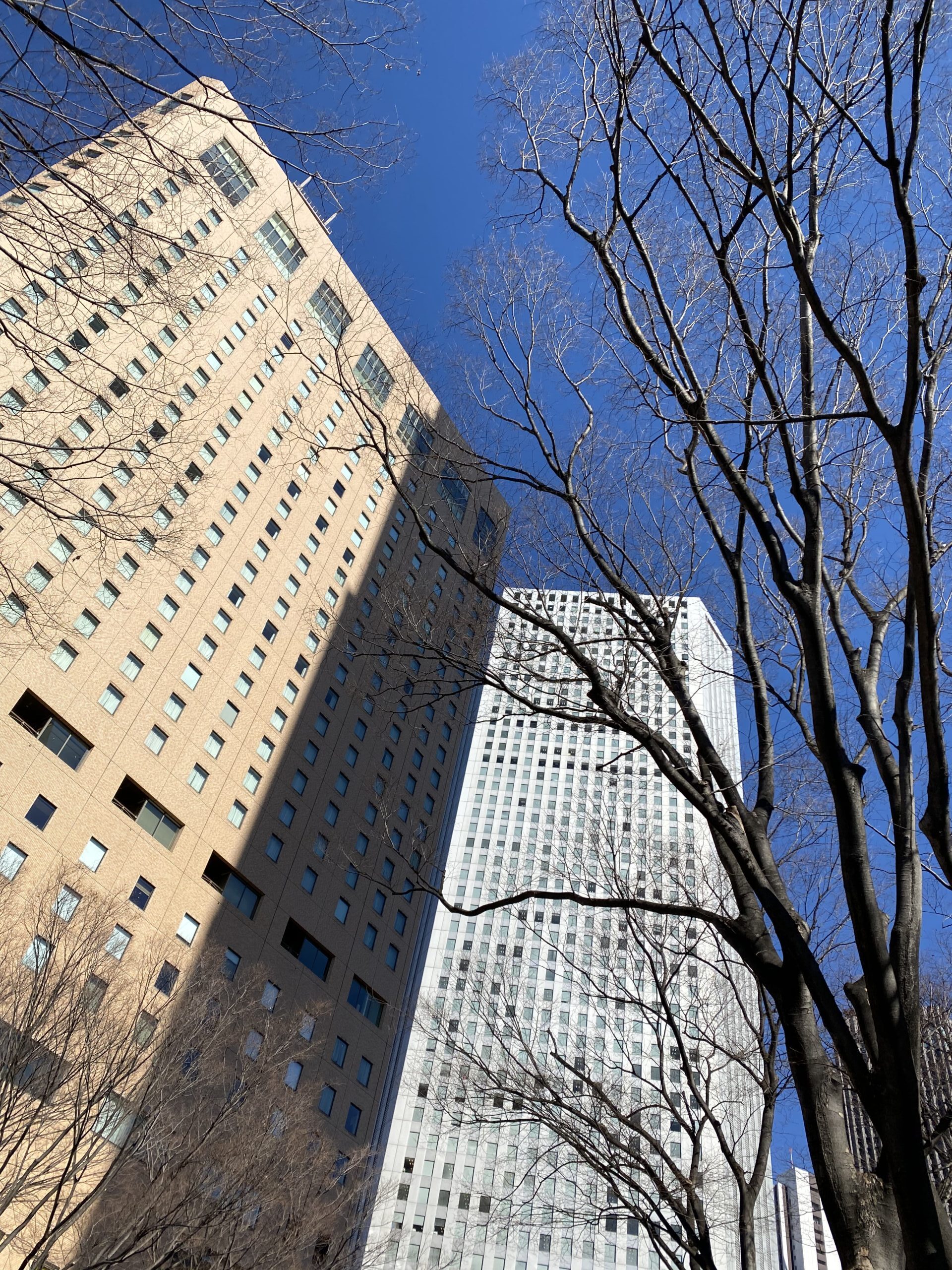 Shinjuku (photo by Kay Koyama)